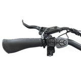20 48V/14AH 750W Foldable Fat Tire Electric Trike, 330LBS