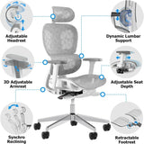 Ergo3D Ergonomic Office Chair �� High Back Mesh Desk Chair with 3D Adjustable Armrests, Wheels, for Home and Office (Black)